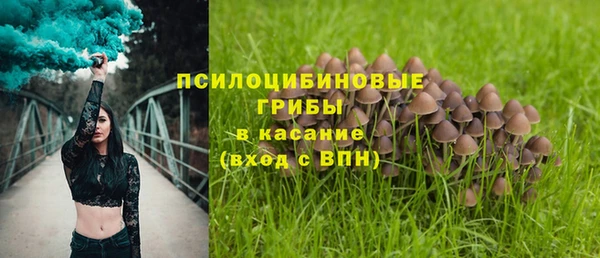 сатива Алексеевка