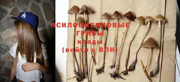 сатива Алексеевка