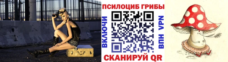 где купить наркотик  Кропоткин  Псилоцибиновые грибы прущие грибы 